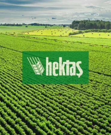hekts-2-1024x576.webp